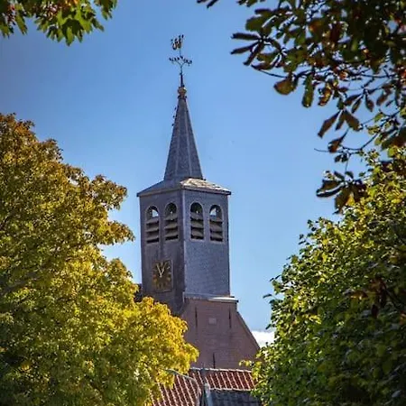 3 Haasjes In Landelijke Omgeving * Wijdenes