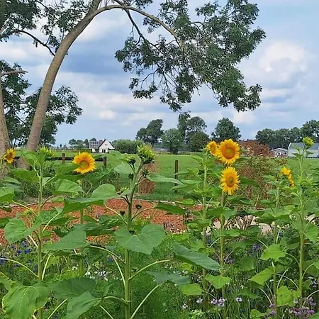 Lejlighed 3 Haasjes In Landelijke Omgeving