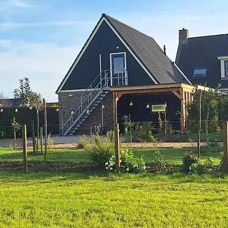 3 Haasjes In Landelijke Omgeving Wijdenes