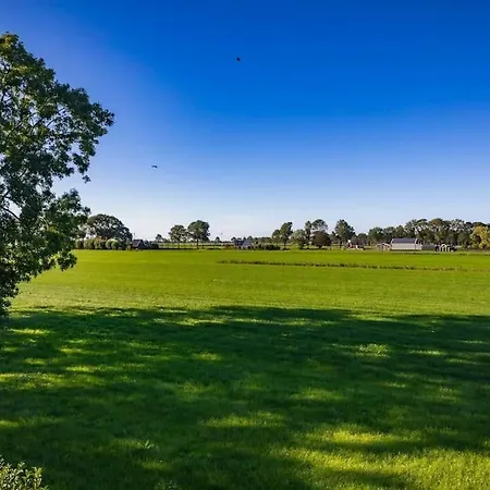 3 Haasjes In Landelijke Omgeving Wijdenes