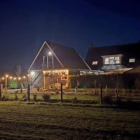 3 Haasjes In Landelijke Omgeving