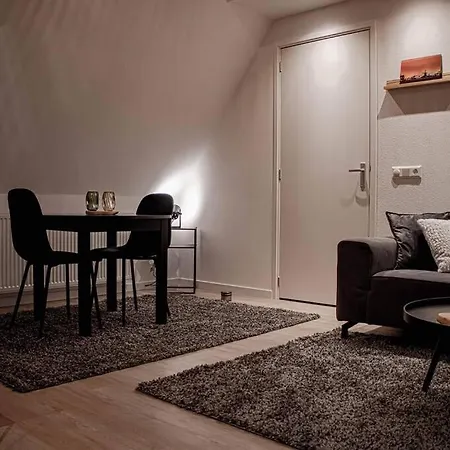 3 Haasjes In Landelijke Omgeving