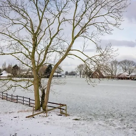 3 Haasjes In Landelijke Omgeving * Wijdenes