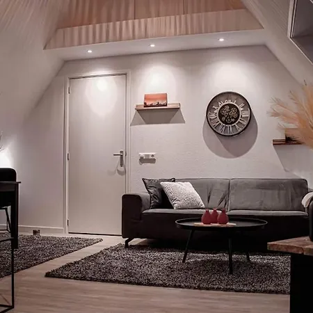 3 Haasjes In Landelijke Omgeving