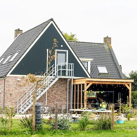3 Haasjes In Landelijke Omgeving Wijdenes