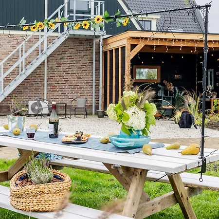3 Haasjes In Landelijke Omgeving