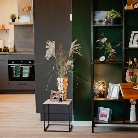 3 Haasjes In Landelijke Omgeving * Wijdenes