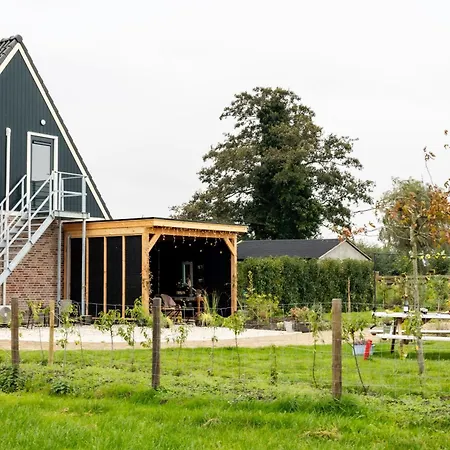 3 Haasjes In Landelijke Omgeving * Wijdenes