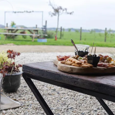 3 Haasjes In Landelijke Omgeving Wijdenes